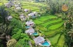 CyberArt_Travel_Bali_01_Ubud.jpg