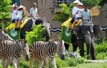 CyberArt_Travel_Bali_05_Safari-Marine-Park.jpg