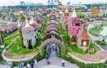 CyberArt_Travel_Dubai_07_Dubai-Miracle-Garden.jpg