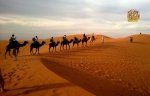 CyberArt_Travel_Dubai_08_Desert-Safari.jpg